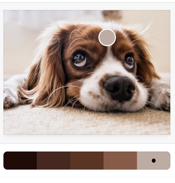hond